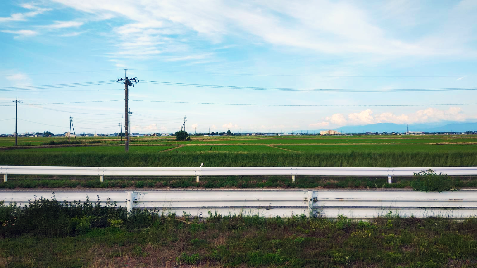施設周辺の川沿いの風景
